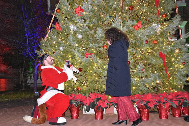 Tree Lighting Proposal